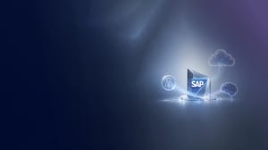 Dein größtes SAP Risiko 2026